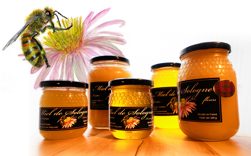 abeille - bernier