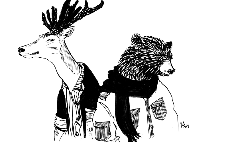 animals