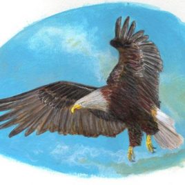 Aigle
