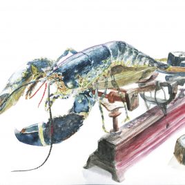 Homard