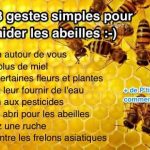 Abeilles