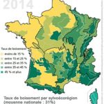 Forêts françaises