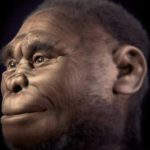 Homo Luzonensis