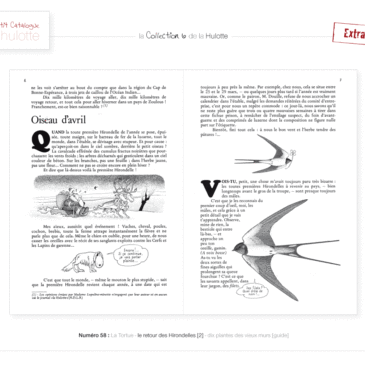 Oiseaux d&rsquo;avril