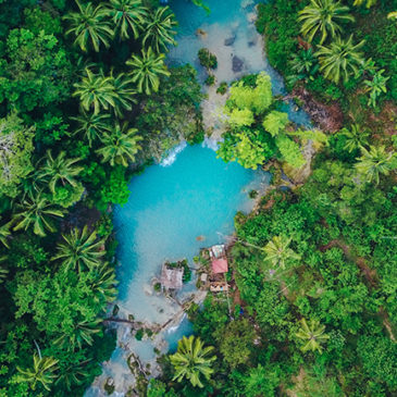 Biodiversité