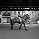 Vivian Maier photographe de vie