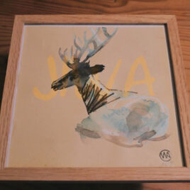Cerf #2