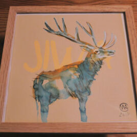 Cerf #1